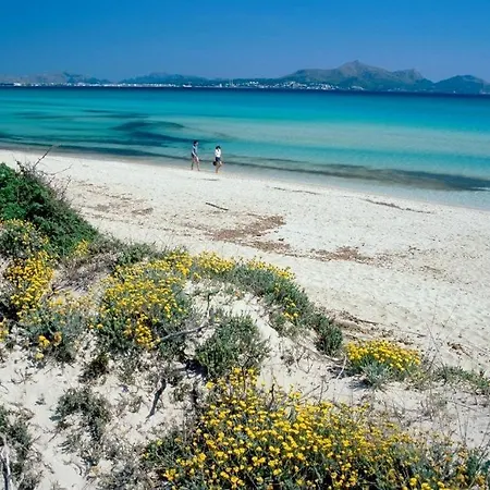 Apartment Al Pujol Alcudia (Mallorca)